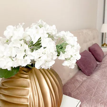 #story * Capodistria