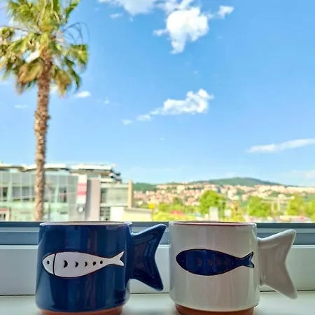 #story Koper